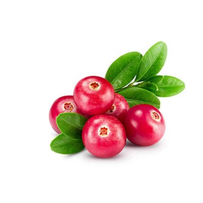 Cranberry seed oil - Ctom Ltd