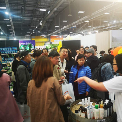 Ctomi Shines at the NZ Alibaba E Commerce Expo